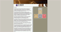 Desktop Screenshot of ciber.co.za